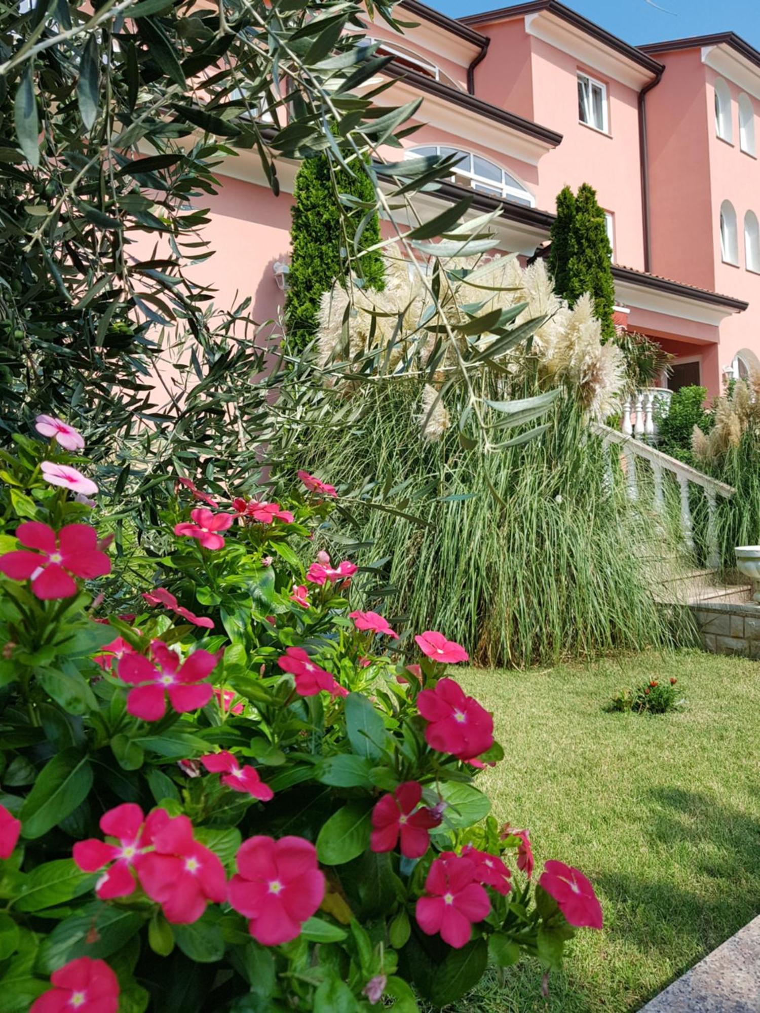 Apartments And Rooms Villa Chiara Krnica Dış mekan fotoğraf