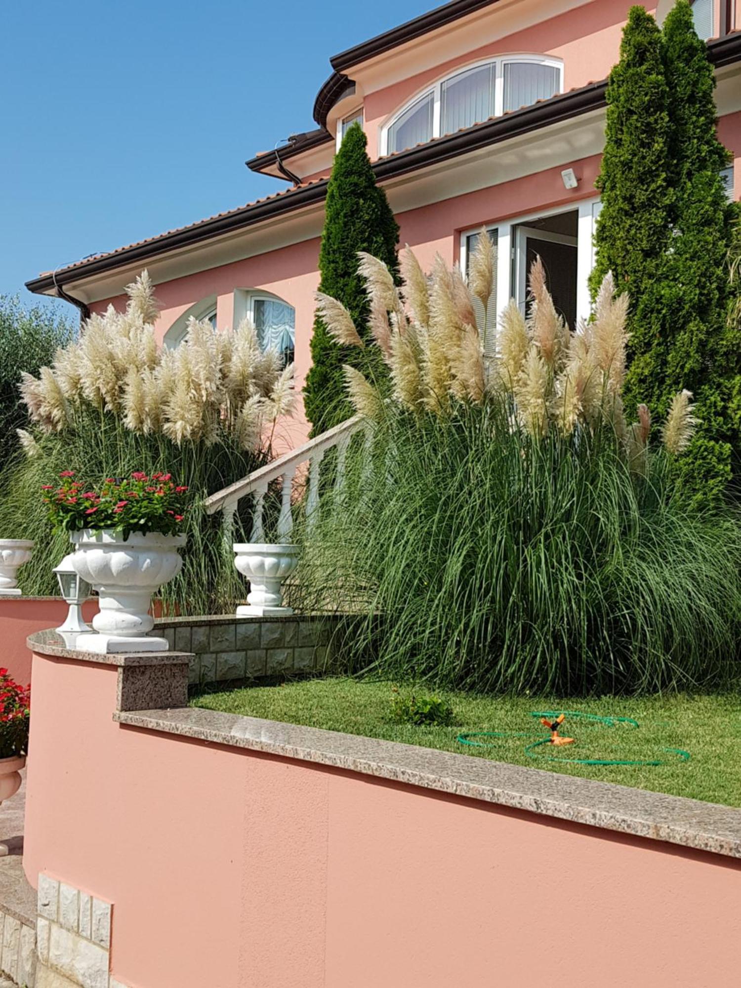Apartments And Rooms Villa Chiara Krnica Dış mekan fotoğraf
