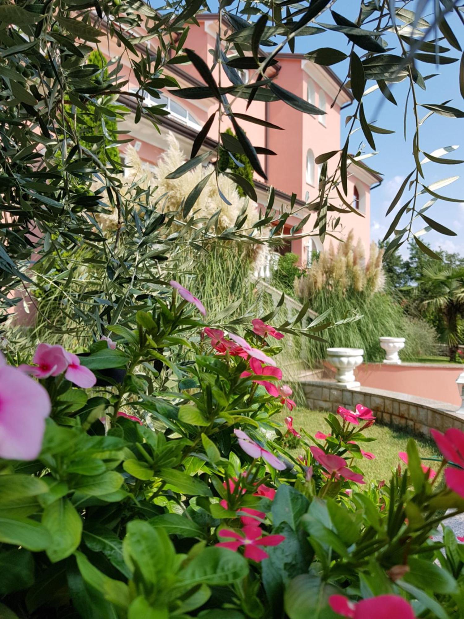 Apartments And Rooms Villa Chiara Krnica Dış mekan fotoğraf