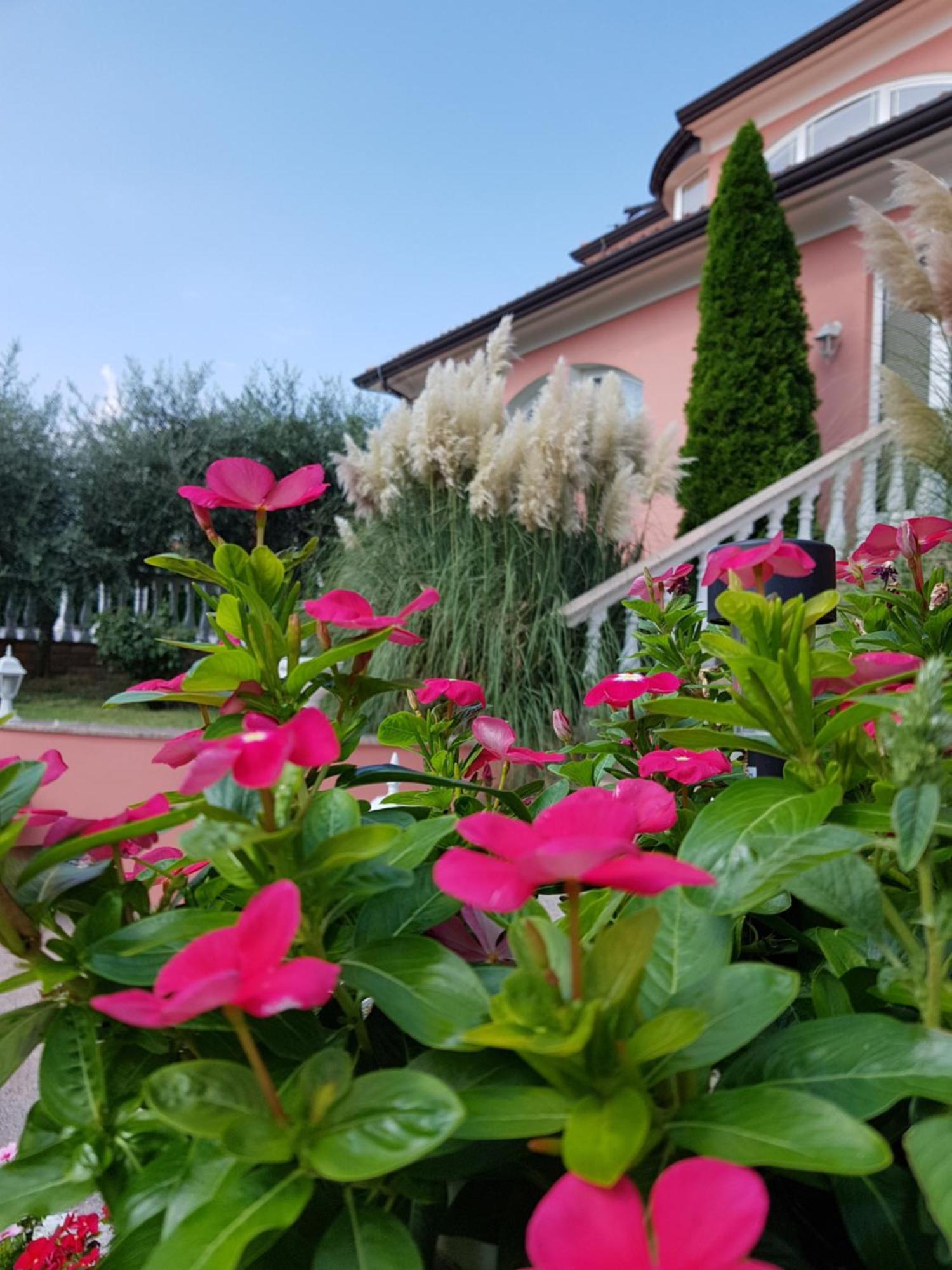 Apartments And Rooms Villa Chiara Krnica Dış mekan fotoğraf
