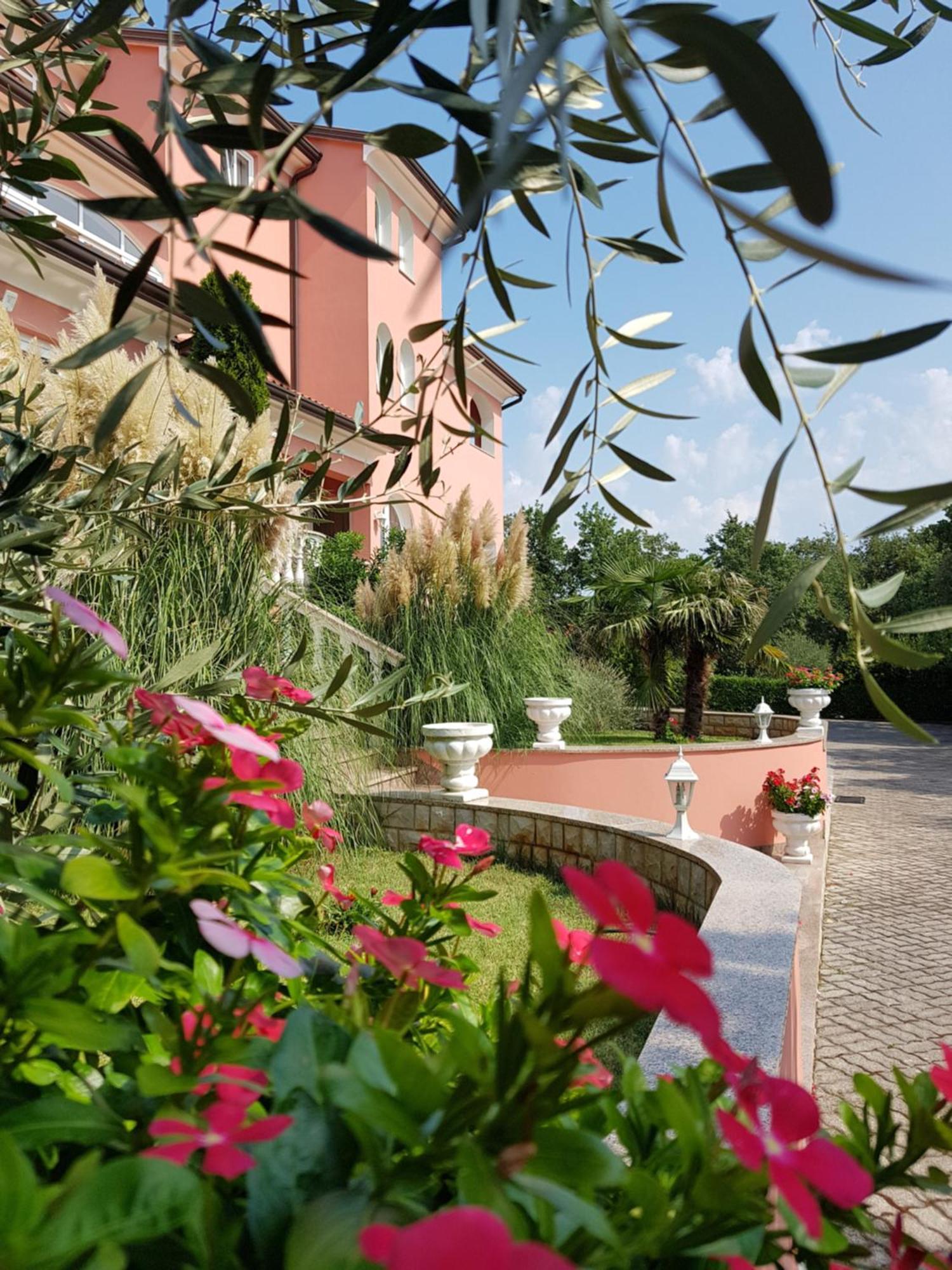 Apartments And Rooms Villa Chiara Krnica Dış mekan fotoğraf